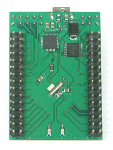 AVR ATmega128 USB TinyBoard V1.2, ATmega128 USB Development Board