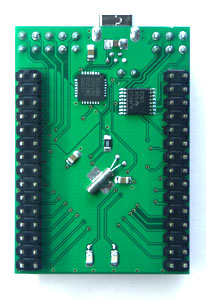 AVR ATmega128 USB TinyBoard V1.2, ATmega128 USB Development Board